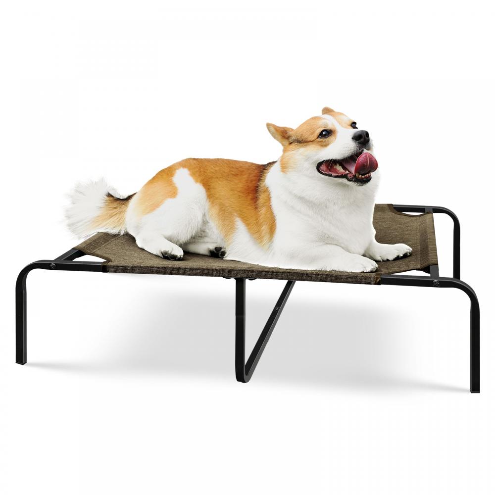 Raised Dog Bed for Medium Dogs