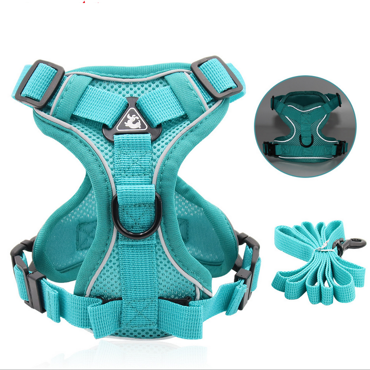Large Dog Harness And Leash Set