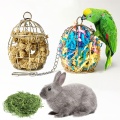 Bird Shredder Toys Stainless Steel Cage Feeder Foraging Parrot Millet Container Dropshipping