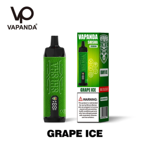EU Warehouse Disposable Vape Pen Vapanda Shisha