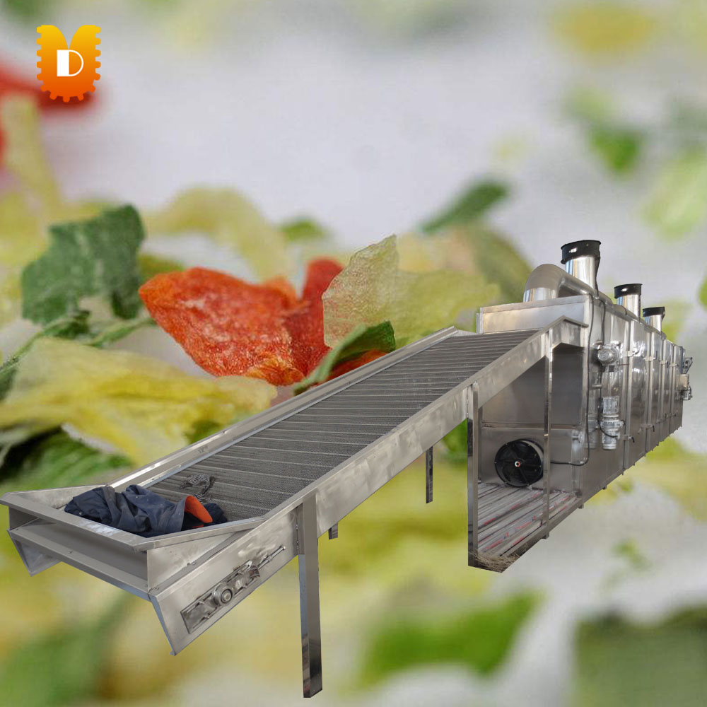 vegetable dryer