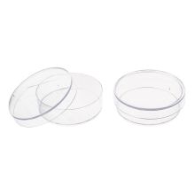 10 pcs. 35mm x 10mm Sterile Plastic Petri Dishes with Lid for LB Plate Yeast (Transparent color)