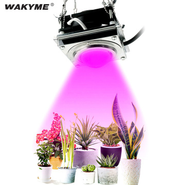 WAKYME 60W Grow Light LED Phyto Lamp Full Spectrum Phytolamp for Plants Indoor Seed Flower Seedling Hydroponics Cultivation Lamp