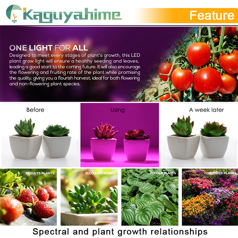 Kaguyahime LED Tube T5 6W 30cm 220V T5 LED Fluorescent Lamp Full Spectrum LED Grow Light Grow Tube Lamp Warm White Cold White