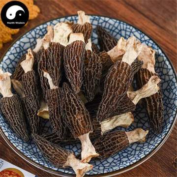 Morchella Vulgaris Mushroom, Chinese Rare Morels