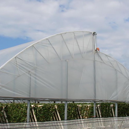 Multi-Span Hydroponic Tunnel Film Greenhouse Manufacturers and Multi-Span Hydroponic Tunnel Film Greenhouse Suppliers