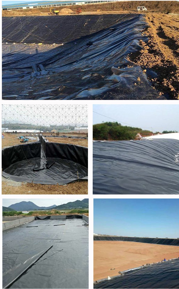 HDPE Geomembrane (18)