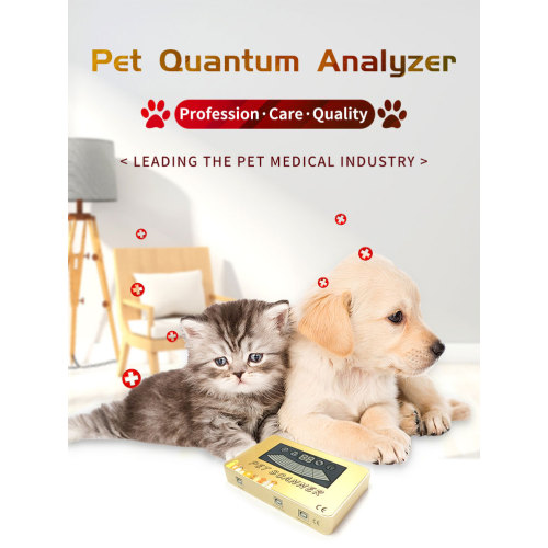 5th generation quantum analyzer for cat & dog for Sale, 5th generation quantum analyzer for cat & dog wholesale From China