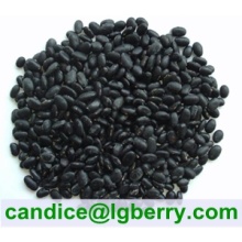 Black Soybean Hull Extract 5-70% anthocyanin/black soybean extract