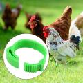 100PCS Chicken Leg Ring Adjustable Size Poultry Leg Buckle Digital Label For Chicken Duck Pigeon Poultry Farming Distinction