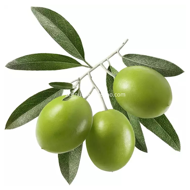 Olive Leaf Extract