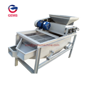 Commercial Black Walnut Huller Hulling Machine