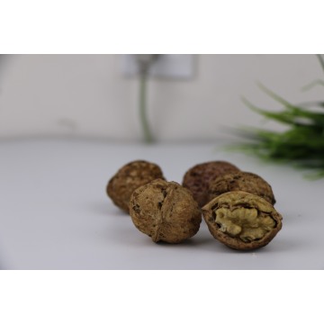 Organic Raw Walnuts Unwashed in Shell