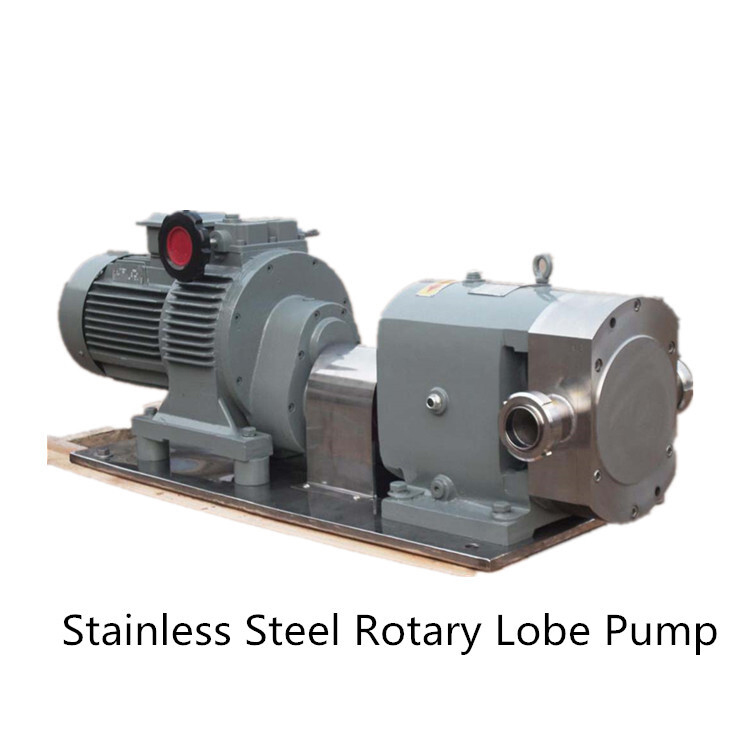 Lobe Pump