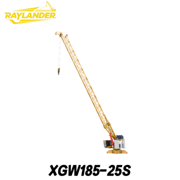 XGW185-25S Roof Mounted Tower Crane