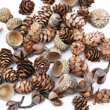 50PCS MINI Lovely Natural dried flower Pinecone series christmas decorations for home diy gifts box artificial plants wholesale