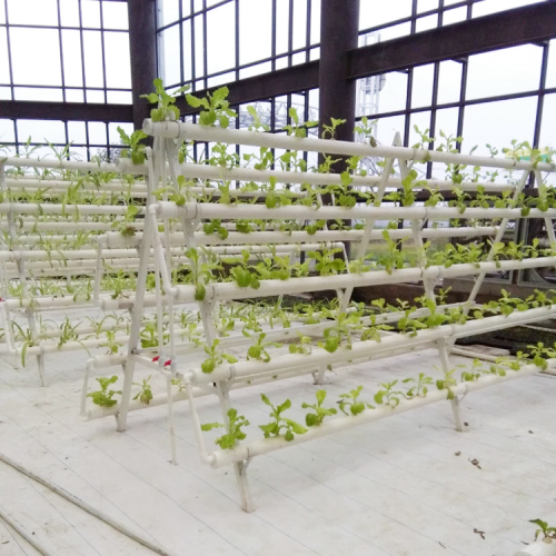 Agricultural Hydroponic NFT Planting Growing System Manufacturers and Agricultural Hydroponic NFT Planting Growing System Suppliers