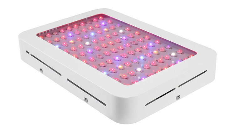 1000W LED Grow Light kit for seedlings