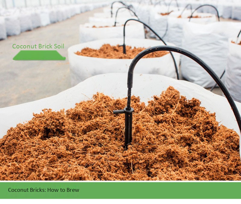 650g(9L) | ORGANIC | COCONUT FIBRE | 100% NATURAL | REPTILE FRIENDLY | GROWING MEDIA | PLANTING COCO SOIL | COCONUT COIR BRICKS