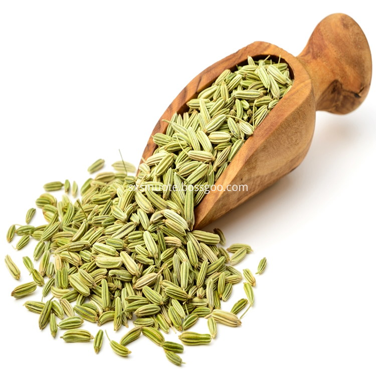 Fennel Seed Extract
