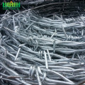 Double Barbed Wire Strands Length Per KG