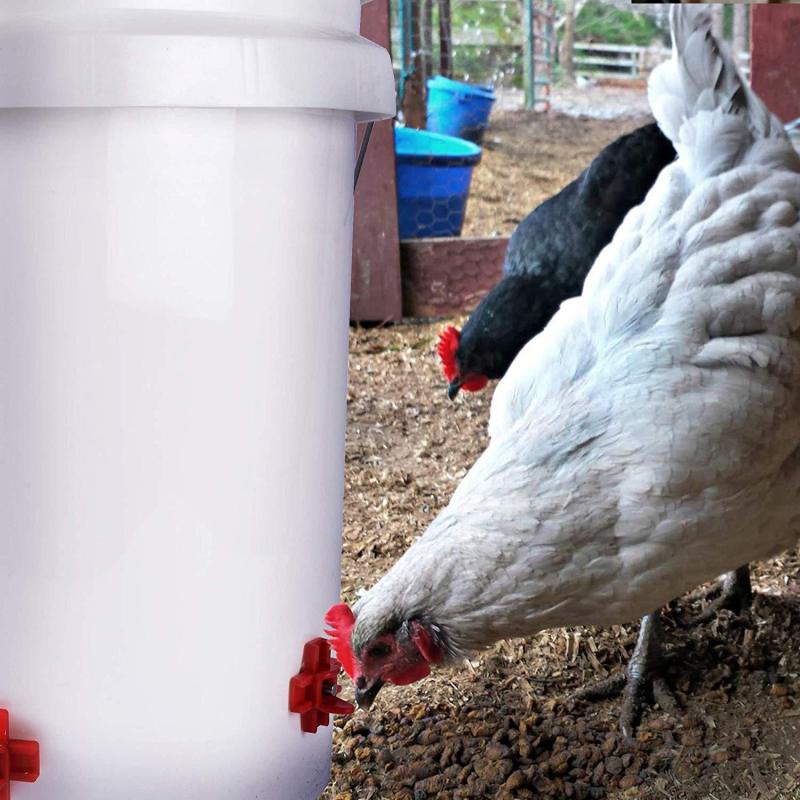 12pcs Chicken Quail Poultry Horizontal Side Mount Nipples Drinker Waterer Clean Water Feeding Farm Automatic Chick Drinking