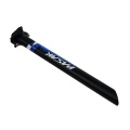 seatpost blue