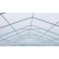 Professional Large Size Durable PE Film Greenhouse