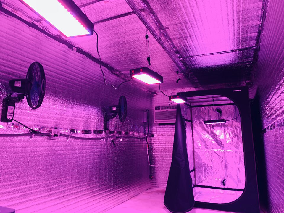 LED Grow Light