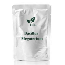 Probiotics Powder of Bacillus Megaterium