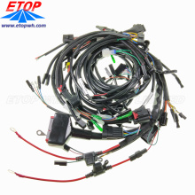 ECU Wiring Harness and Ampseal Connector Cable Assembly