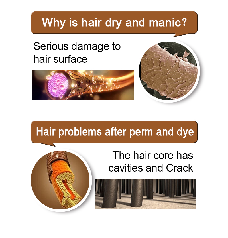 Shampoo And Conditioner Hair Treatment Mask Nutrition Argan Oil Coconut Oil Ginger Nourishing Repair Hair Mask Soft 10ml TSLM1