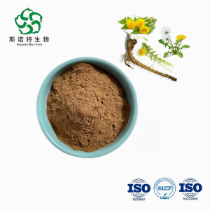 ISO Certified Dandelion Extract Flavones Powder