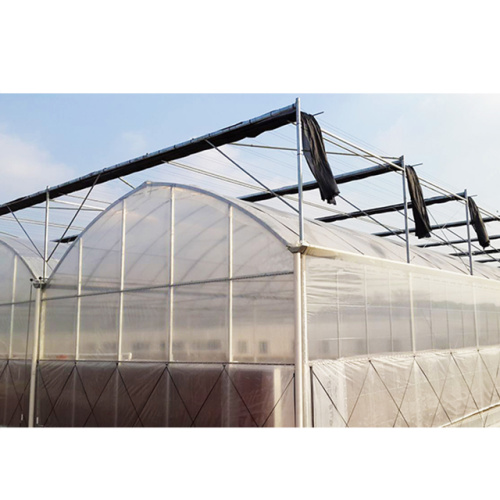 Agricultural Low Cost Plastic Film Covered Greenhouse Manufacturers and Agricultural Low Cost Plastic Film Covered Greenhouse Suppliers