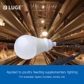 Special LED light bulb for breeding farm light intensity adjustable waterproof LED bulb lamp for layer poultry house