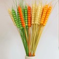 Will Ear Of Wheat Home Practice Gift Dried Flower Eternal FLOWER Wheat Barley Countryside A Living Room Bedroom Decoration