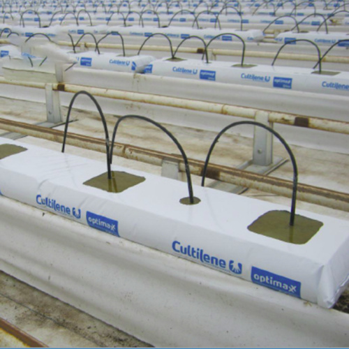 Greenhouse Hydroponics Rock Wool Planting system Manufacturers and Greenhouse Hydroponics Rock Wool Planting system Suppliers