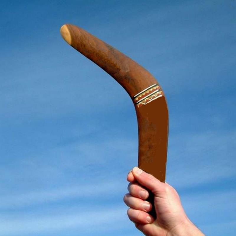 Boomerang V Shaped Throwback Toy Flying Wood Disc Funny Interactive Family Throw Catch Outdoor Fun Game Funny Game Gift Kids NEW