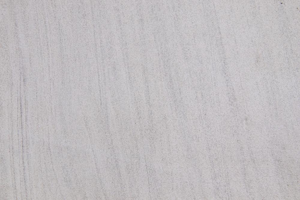 Dm1001