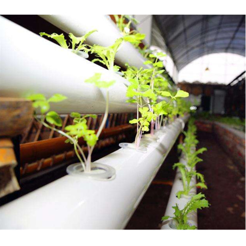 Greenhouse NFT Hydroponics system for lettuce salad-Skyplant Manufacturers and Greenhouse NFT Hydroponics system for lettuce salad-Skyplant Suppliers