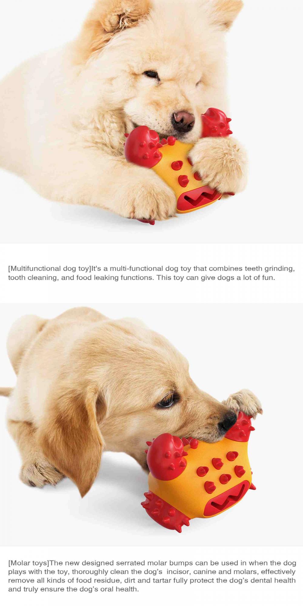 Dog Toy Subscription