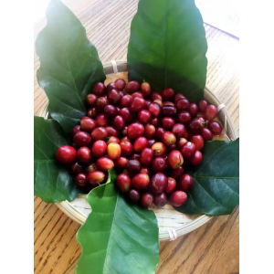 Organic Arabica Coffee Beans