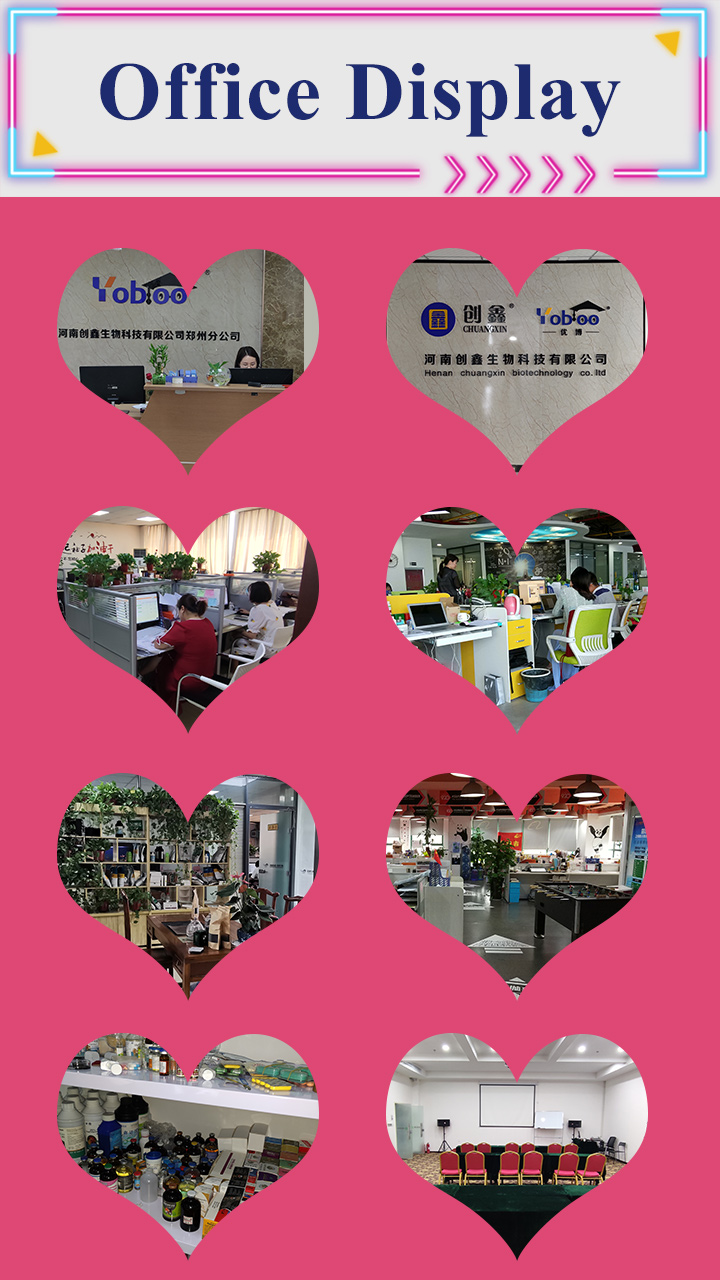 Office Display