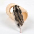 Rat Hamster Mouse Wooden Bed House Cage Toy Wine Cask Design Rat Small Pet Toy