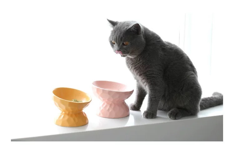 Features: 1. PP material, smooth appearance, easy to clean, not easy to damage 2. The mouth of the bowl is open and convenient, and the mouth of the open bowl is convenient for pets to eat, and it is not easy for pets to get dirty with pet hair 3. The sloping bowl mouth and high foot design are convenient for pets to carry out, protect the pet's cervical spine, and eat happily 4. Wide and flat bowl to prevent sensory pressure from whiskers touching the sides of the plate, cats can eat to the bottom without pressure 5. The sloping cat food bowl is ergonomic to prevent vomiting, reduce whisker fatigue and provide stress-free food access, enhancing digestion and health.