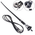 16 Inch Car Universal Roof Antenna Whip Antenna Adjustable Car Radio Am/fm Amplified Signal Aerial For Car Truck Accessories
