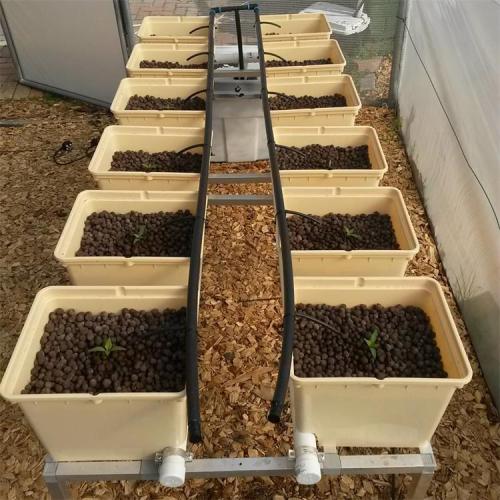 Hydroponics tomatoes dutch grow tank bucket system Manufacturers and Hydroponics tomatoes dutch grow tank bucket system Suppliers