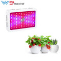 Indoor Plant Veg&Flower 600w LED Grow Light