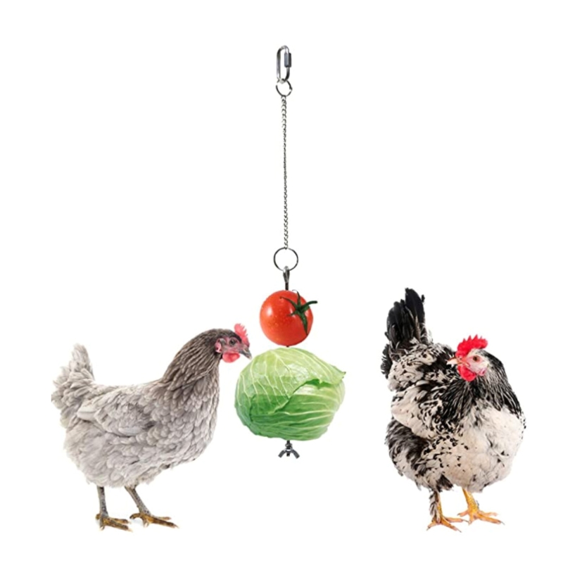 Stainless Steel Bird Hanging Feeder Chicken Hen Food Holder Skewer Foraging Toy R9CA