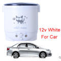 12v white for car